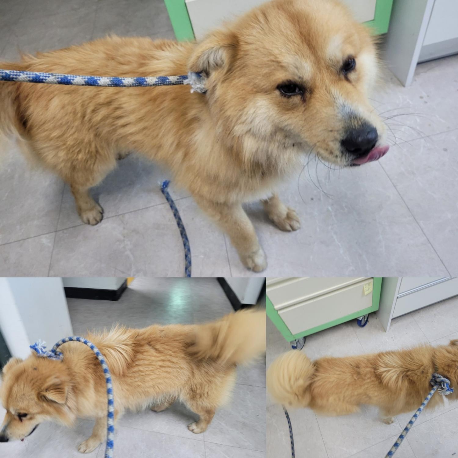 논산시 동물보호센터_444454202400102